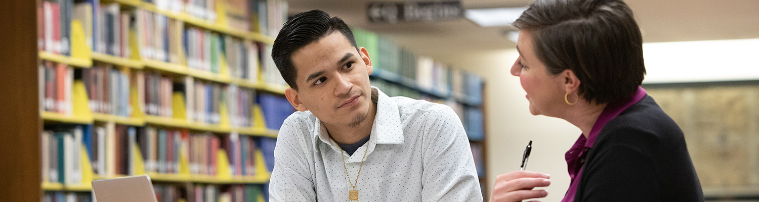 Faculty/Staff working with a student